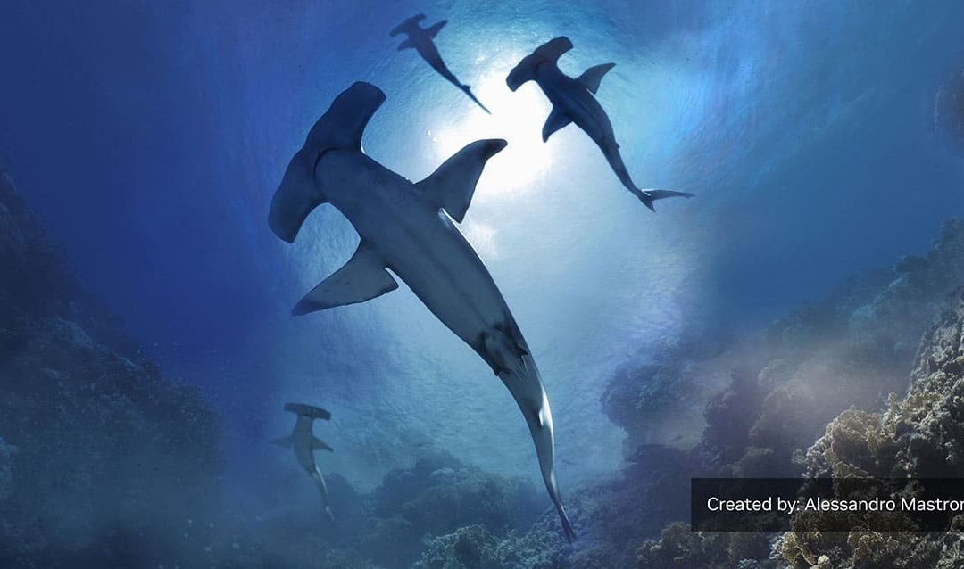 Alerta en NVIDIA Omniverse por la presencia de grandes tiburones